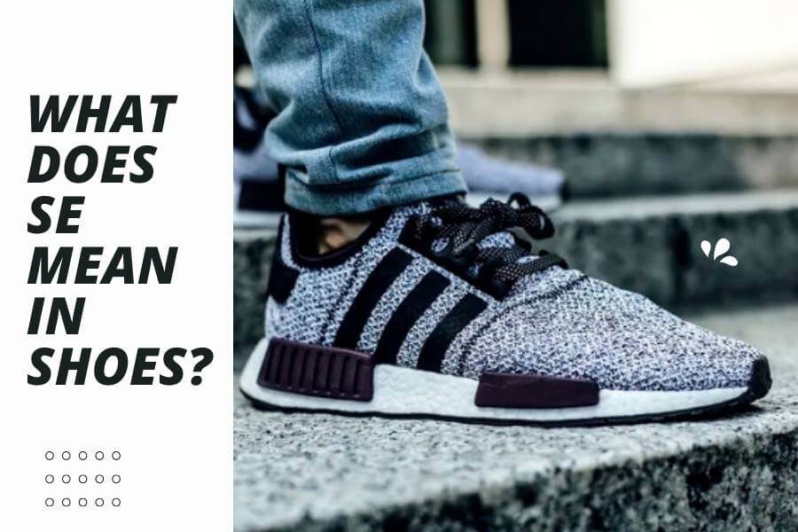 What Does SE Mean In Shoes? Sneakerheads Must Know