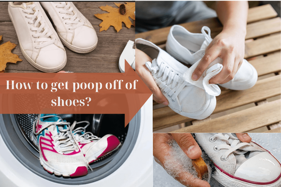 How To Get Poop Off Of Shoes 8 Ways